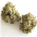 Шишки "White Widow"  (Белая вдова)  Гидропоника -  Бошка VHQ в Тутаеве