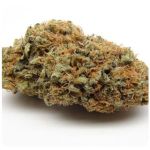 Шишки AK47  (Гидропоника, Бошка) VHQ в Тутаеве